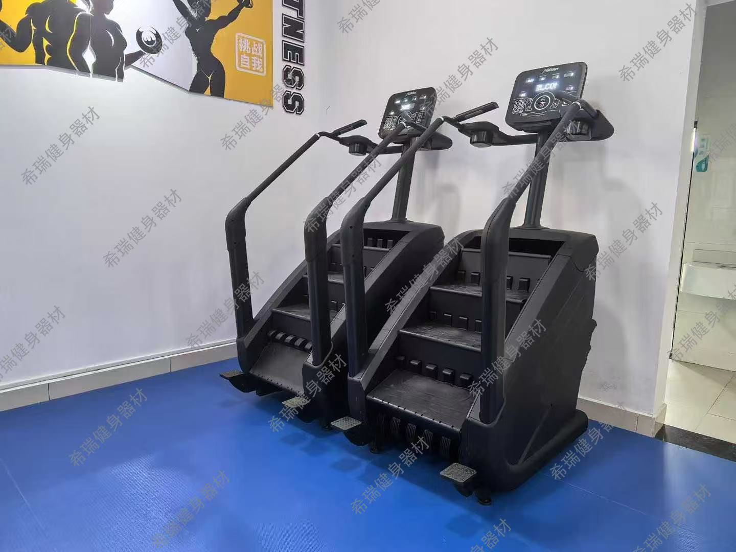 เครื่องออกกำลังกายคาร์ดิโอเชิง - Home Gym Used บทวิจารณ์และราคา